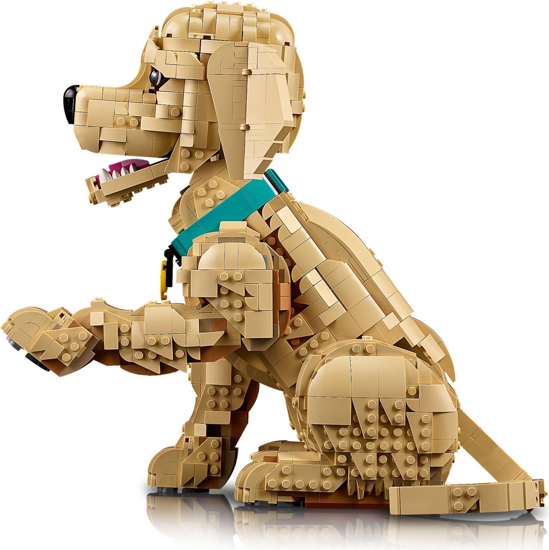 Golden Retriever Puppy 11384 | Icons | LEGO – image 16