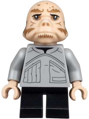 Ugnaught SW0970 | Star Wars Minifigure | LEGO